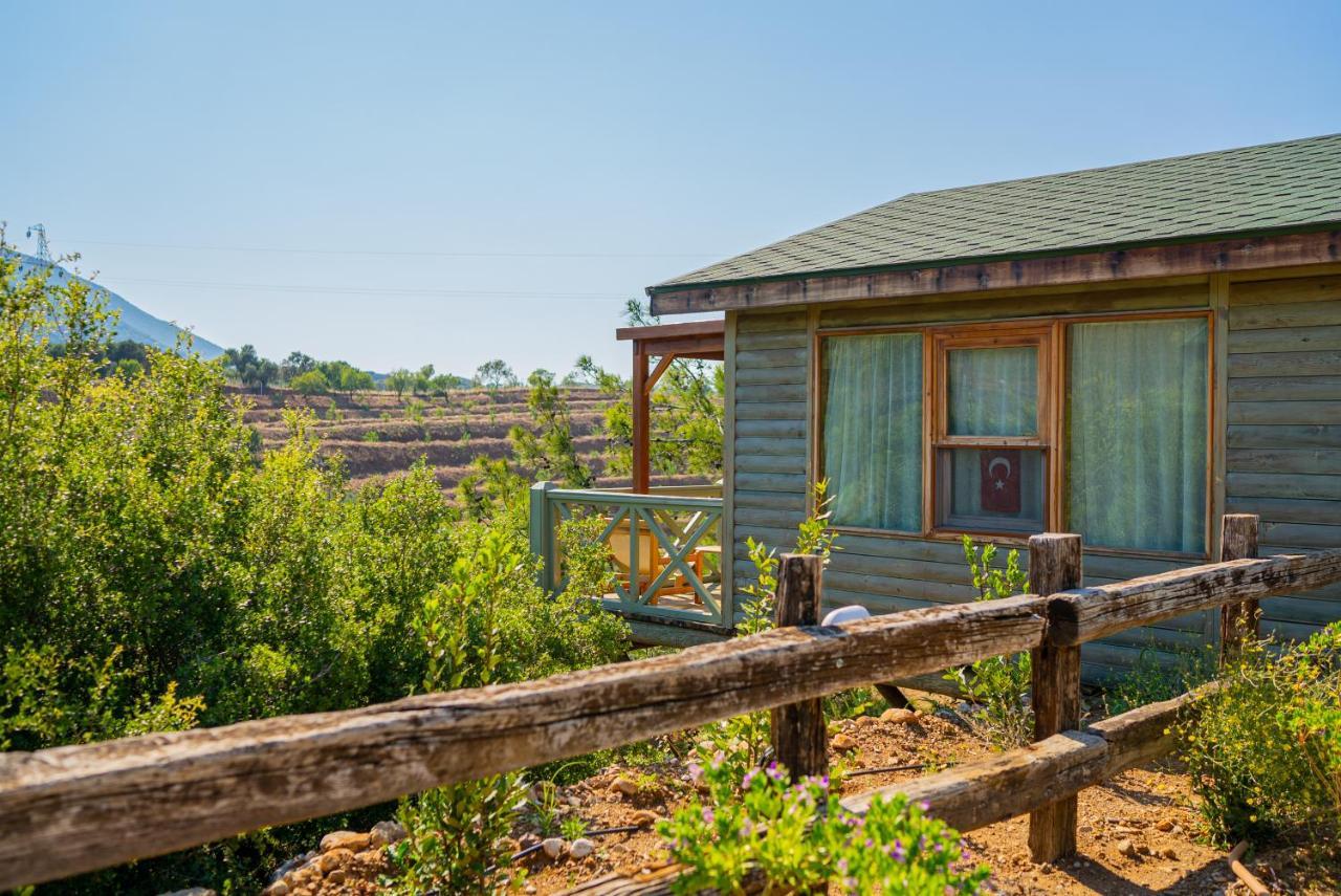 Kairos Valley Health & Nature Resort داتْشا المظهر الخارجي الصورة