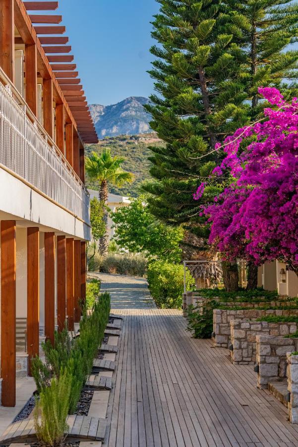 Kairos Valley Health & Nature Resort داتْشا المظهر الخارجي الصورة